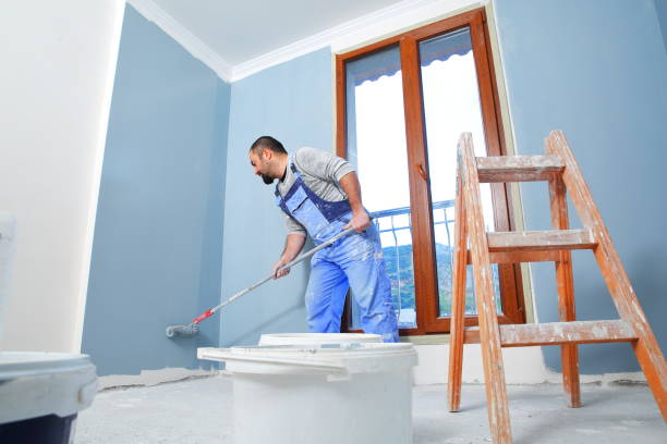  Rosemont, IL Mold Removal Pros