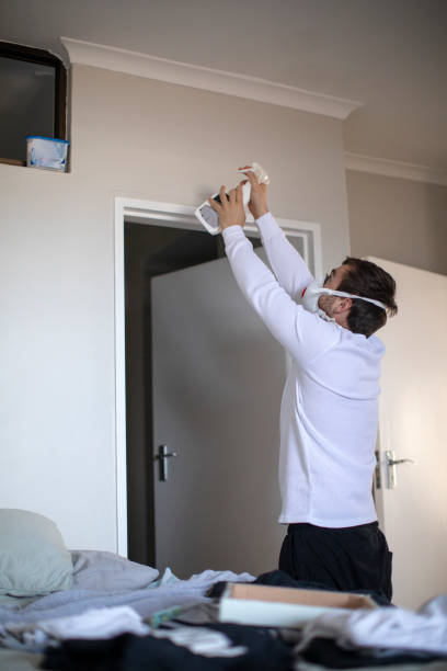 Best Mold Removal for HVAC Installations  in Rosemont, IL