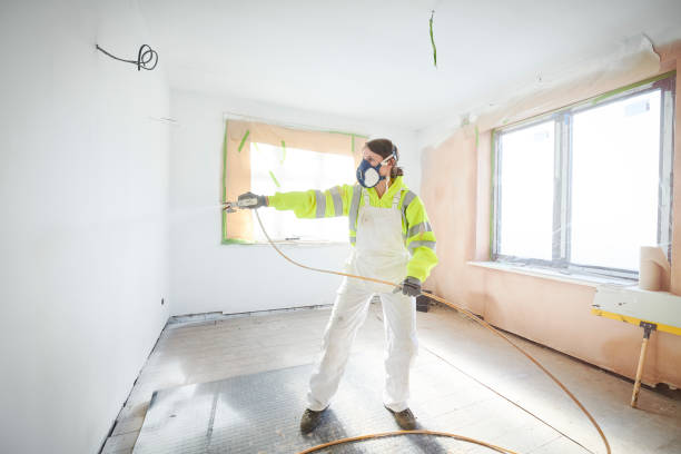Best Biohazard Mold Removal  in Rosemont, IL